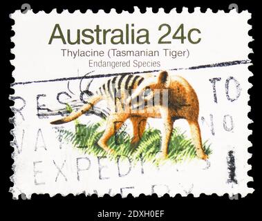 MOSCOW, RUSSIA - MARCH 30, 2019: A stamp printed in Australia shows Thylacine (Thylacinus cyanocephalus), Endangered Species (1981-1984) serie, circa Stock Photo