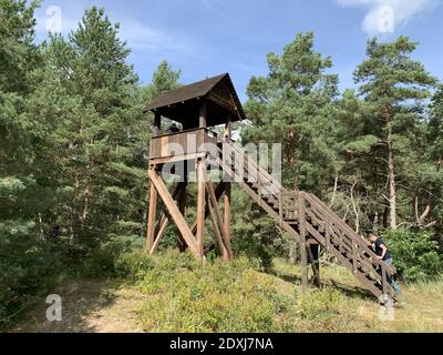 A beautiful shot of the males on the lookout tower in the forest Stock Photo