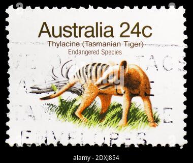 MOSCOW, RUSSIA - MARCH 23, 2019: Postage stamp printed in Australia shows Thylacine (Thylacinus cyanocephalus), Endangered Species (1981-1984) serie, Stock Photo