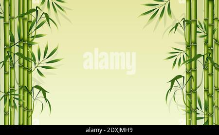 Bamboo background. Green floral illustration for business advertising. Natural banner to insert text. Vector illustration Stock Vector