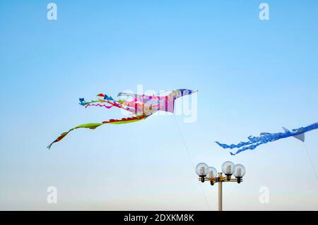 Multi Colored Kites Flying Against Clear Sky