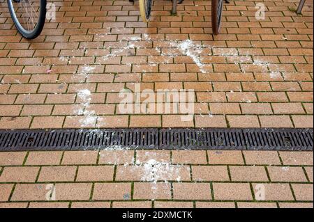 Fresh salt on a sidewalk in the winter Stock Photo