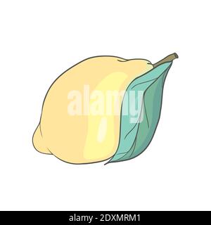 Vector lemon. Line art logo, icon, label Stock Vector