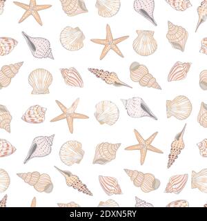 Seashell seamless pattern. Scallop vector background. Stock Vector