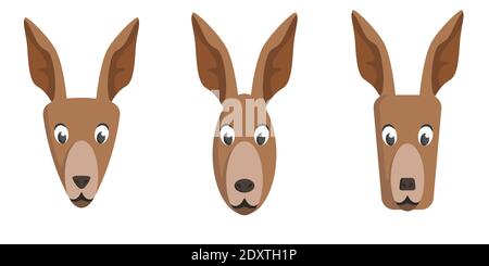 Set of cartoon kangaroos. Different shapes of animal faces. Stock Vector