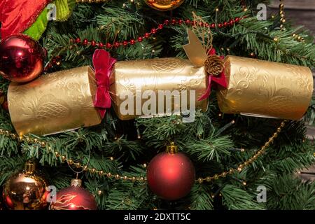 A classic British UK Christmas cracker on a festive tree Stock Photo