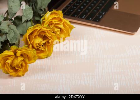 Fragment of an open laptop in pink. Nearby are yellow roses. The surface is painted in white and beige. Stock Photo