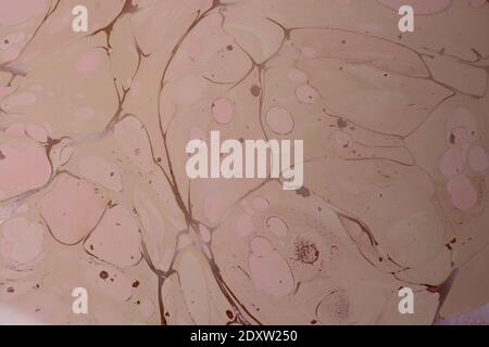 A beautiful abstract surface, patterned with vibrant colors for background or wallpaper Stock Photo
