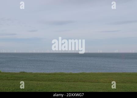 View of wind farm turbines on horizon with sea and grass in foreground Stock Photo