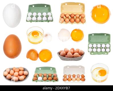 set of various raw chicken eggs isolated on white background Stock Photo