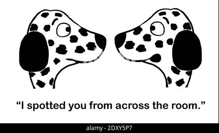 Dalmation spotted another dalmation from across the room. Stock Photo