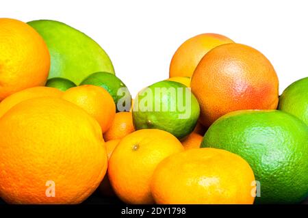 Isolated vibrant citruses on white background. Oranges, tangerines, limes, pomelo, grapefruits. Stock Photo
