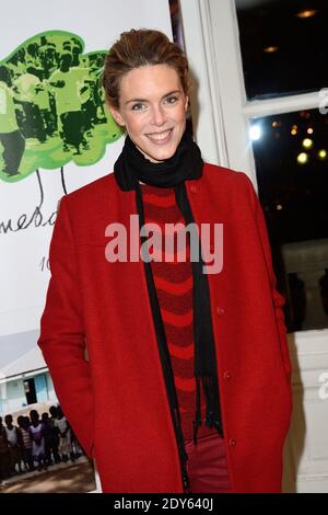 Julie Andrieu attending the 10th anniversary party of association 'Racines d'Enfance' held at Grand Palais in Paris, France on November 20, 2014. Photo by Nicolas Briquet/ABACAPRESS.COM Stock Photo