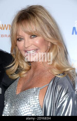 Goldie Hawn attends the Goldie Hawn's Inaugural Love In For Kids in
