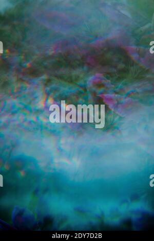 Artistic Abstract Background with a purple clematis Stock Photo
