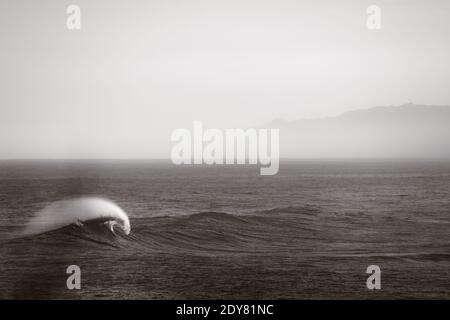 Perfect wave breaking on a beach in Canary Islands Stock Photo