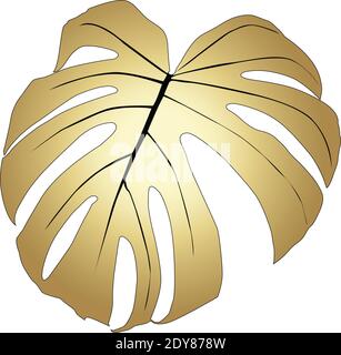 Monstera Deliciosa plant leaf from tropical forest Stock Vector