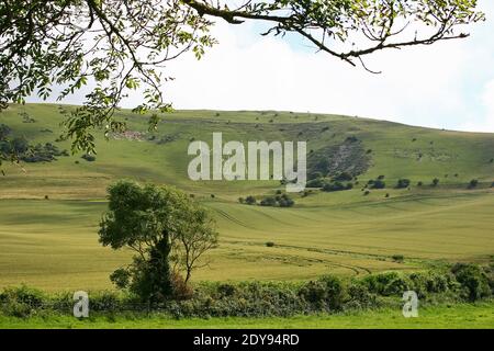 The Long Man of Wilmington is a hill figure on Windover Hill near Wilmington, East Sussex, England. Made by cutting through to the underlying chalk. Stock Photo