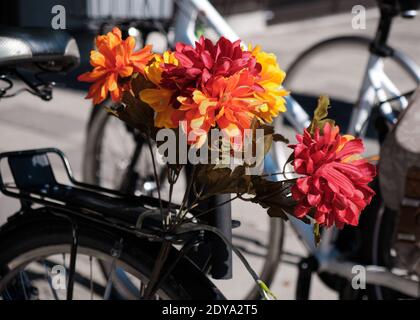 Bouquet of artificial flowers set in the rack on a bicycle over the back wheel Stock Photo