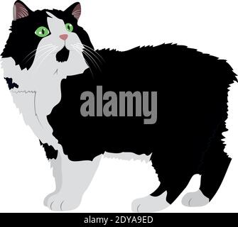 black and white cute cat icon over white background, colorful design, vector illustration Stock Vector