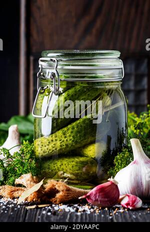 Homemade marinated or pickled cucumbers with dill, garlic and spices in big glass jar on rustic brown table, selective focus Stock Photo