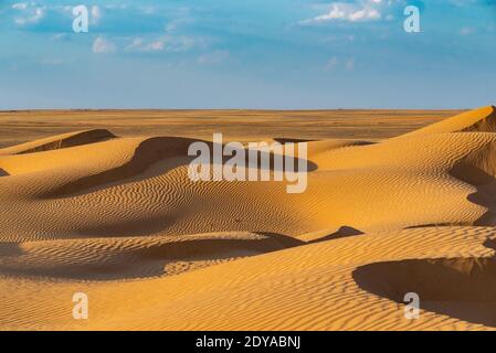 Huge dunes of the desert. Beautiful structures of sandy barkhan or sand-dune. Waves by wind on sand surface. Stock Photo