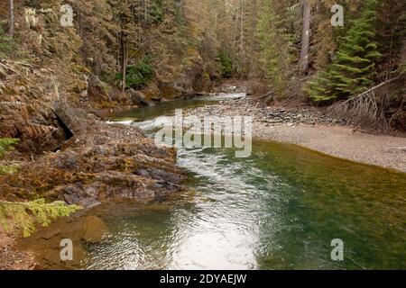 Deep pools on Callahan Creek as it winds west, on a late winter afternoon, in Troy, Montana. Stock Photo