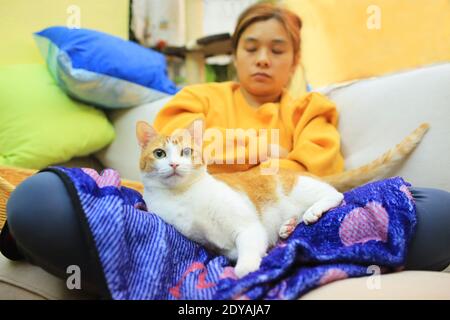ginger cat sleep with woman happy moment in winter Stock Photo