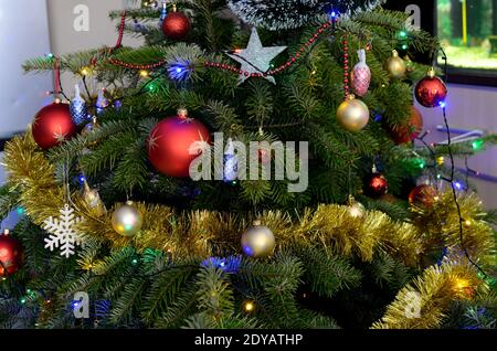 Holiday season in Poland. Decorated live Christmas tree with colorful bubbles and chains. Stock Photo