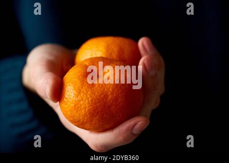 Close-up of woman's hand holding two whole bright citrus fruit tangerine on dark background. Stock Photo