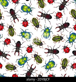 Vector illustration with insect beetles. Seamless pattern isolated on white background. Texture for print, banner, textile, wrapping paper. Ladybird, beetle deer, green beetle, calligrapha serpentina Stock Vector