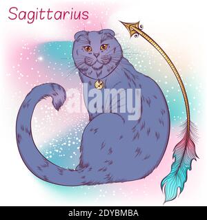 Zodiac. Vector illustration of the astrological sign of Sagittarius as a scottish fold cat sitting back with face turned to the viewer. Astrological horoscope element. Astrology concept art Stock Vector