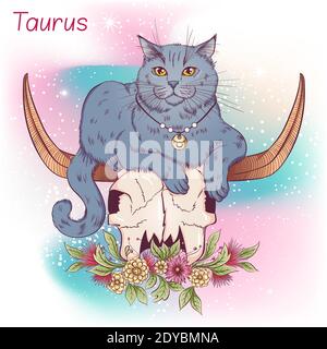 Zodiac. Vector illustration of the astrological sign of Taurus as a british cat lying on the skull of a bull. Astrological horoscope element. Astrology concept art Stock Vector