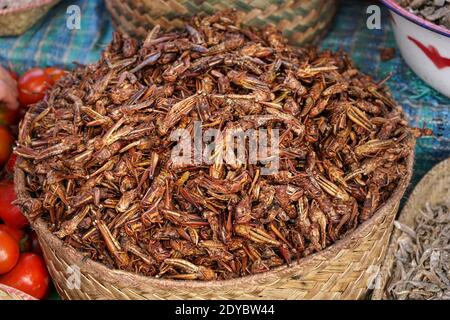 Dry fried grasshopper or locust insect on display at street food market in Madagascar Stock Photo