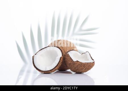 Coconuts isolated on white background,  with palm leaf on background. Stock Photo