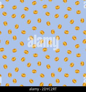 Vector cute seamless pattern of pumpkins. Halloween, Thanksgiving. Stock Vector