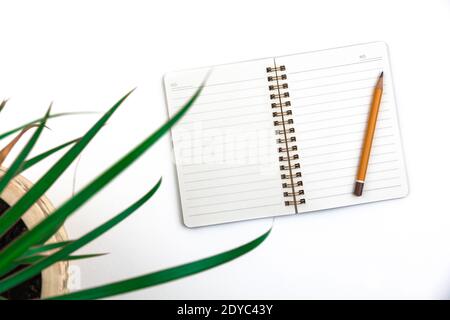 Modern desktop, minimal design concept, notepad on white isolated background with houseplant leaves photo Stock Photo