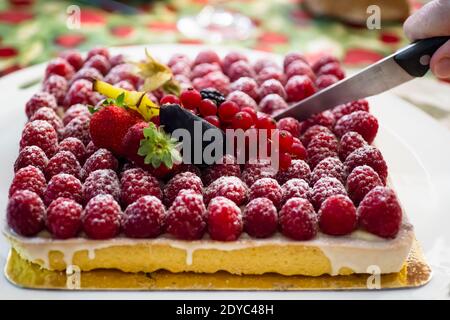 Raspberry cake with currants, strawberries and a piece of chocolate. Selective focus.