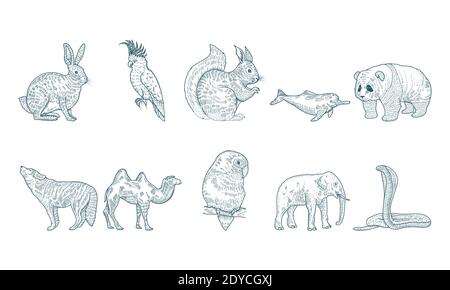 group of ten animals realistic characters drawn style icons vector illustration design Stock Vector