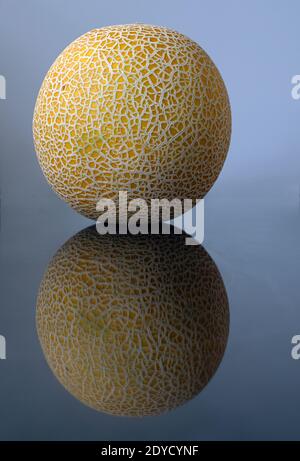 Whole cantaloupe melon and its reflection isolated on white Stock Photo