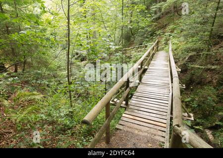 Hiking Path In the Black Forest, Near Todtmoos Stock Photo