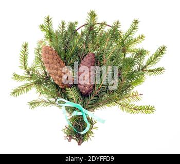 Two spruce branches with pine cones tied with a blue ribbon on a light background Stock Photo