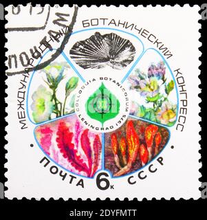 MOSCOW, RUSSIA - JUNE 19, 2019: Postage stamp printed in Soviet Union (USSR) devoted to 12th International Botanical Congress, Congresses serie, circa Stock Photo