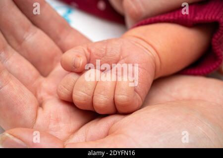 Newborn Baby Hand Is Laid In The Mother Palm Stock Photo Alamy