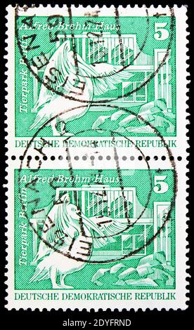 MOSCOW, RUSSIA - JUNE 19, 2019: Two postage stamps printed in Germany, Democratic Republic, shows Rosy Pelican (Pelecanus onocrotalus); Alfred-Brehm-H Stock Photo