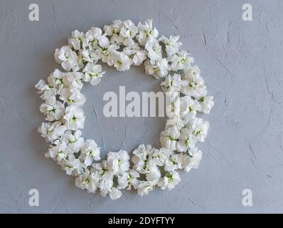 Floral frame with small white flowers on a gray concrete background. Concrete texture and blooming flower buds. This is the place for your beauty prod Stock Photo