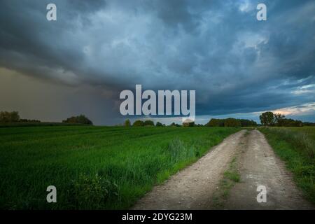 A dirt road through green fields and a huge rain cloud, spring day Stock Photo