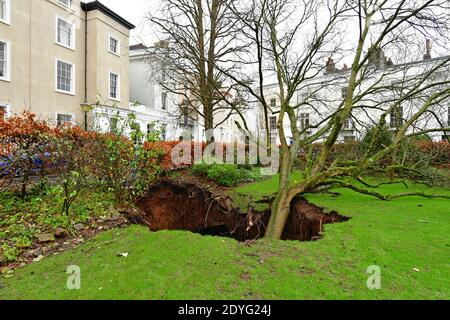 Bristol, UK. 26th Dec, 2020. UK Bristol. Canynge Square in Clifton Village A Large Sinkhole with tree in it opens up in residents private gardens. Picture Credit: Robert Timoney/Alamy Live News Stock Photo