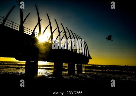 Sunrise on a pier at the beachfront and a bird is flying in the foreground. Yellow sun breaking through glistening on the morning waves Stock Photo