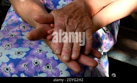 Old lady and toddler hands closeup. Great grandmother holds little hand of her great-grandchild between her old wrinkled hand palms. Diverse hands of Stock Photo